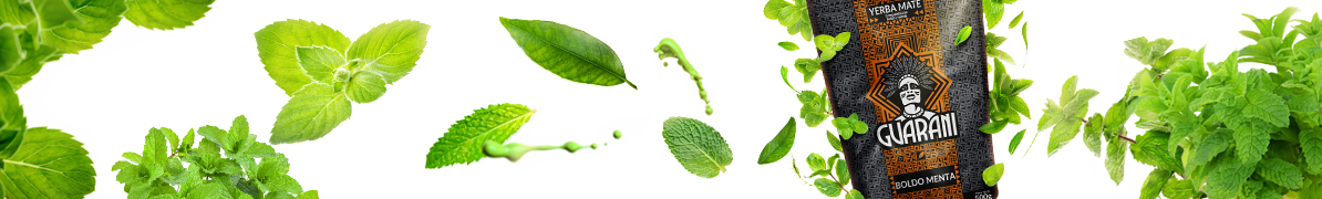 Baner yerba mate Guarani Boldo Menta – yerba mate z boldo i miętą pieprzową