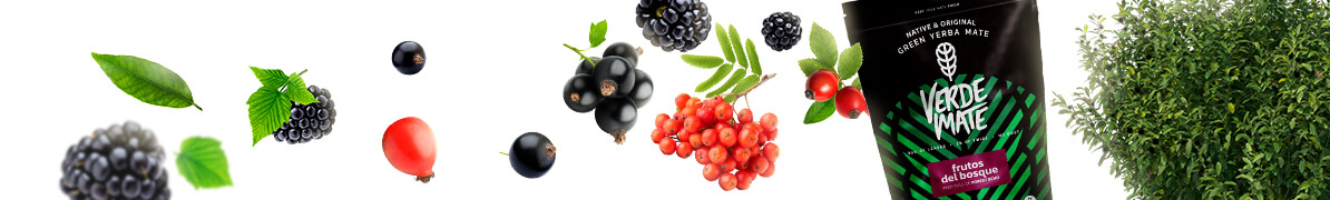 Baner Verde Mate Frutos del Bosque – yerba mate z owocami leśnymi