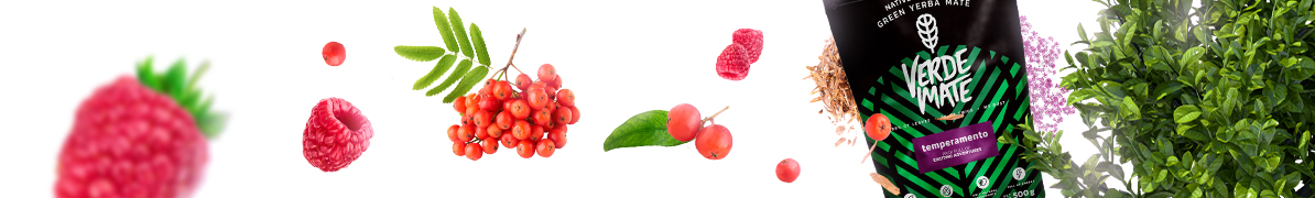 Baner Verde Mate Green Temperamento – cytrusowo‑ziołowa yerba mate