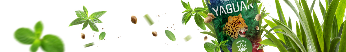Yaguar Cannabis - Baner