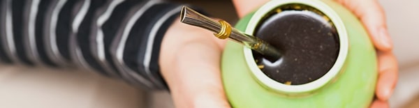 Yerba Mate na zimno