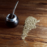Yerba mate – jedność w zróżnicowaniu