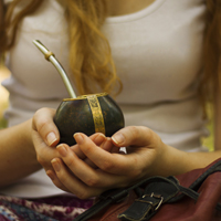 Chodź do nas! Mamy yerba mate…