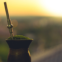 Kowboje z yerba mate! Gauchos symbolem Ameryki Południowej