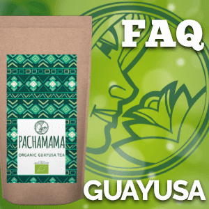 Ilex guayusa – Co to jest? Jak działa? Pytania i odpowiedzi.