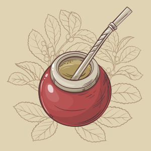 Ostrokrzew paragwajski bez tajemnic – yerba mate okiem botanika