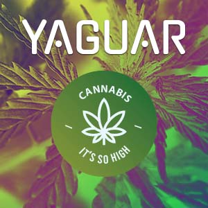 Yaguar Cannabis. Wielka premiera nowej yerba mate z konopią!