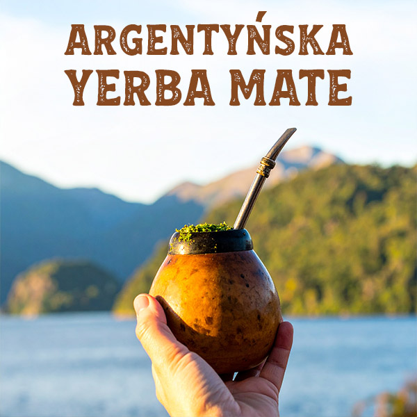 Argentyńska yerba mate – dlaczego pokochali ją nie tylko Argentyńczycy?