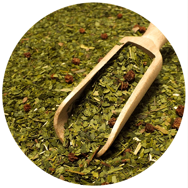 Verde Mate Green Temperamento - Produkt