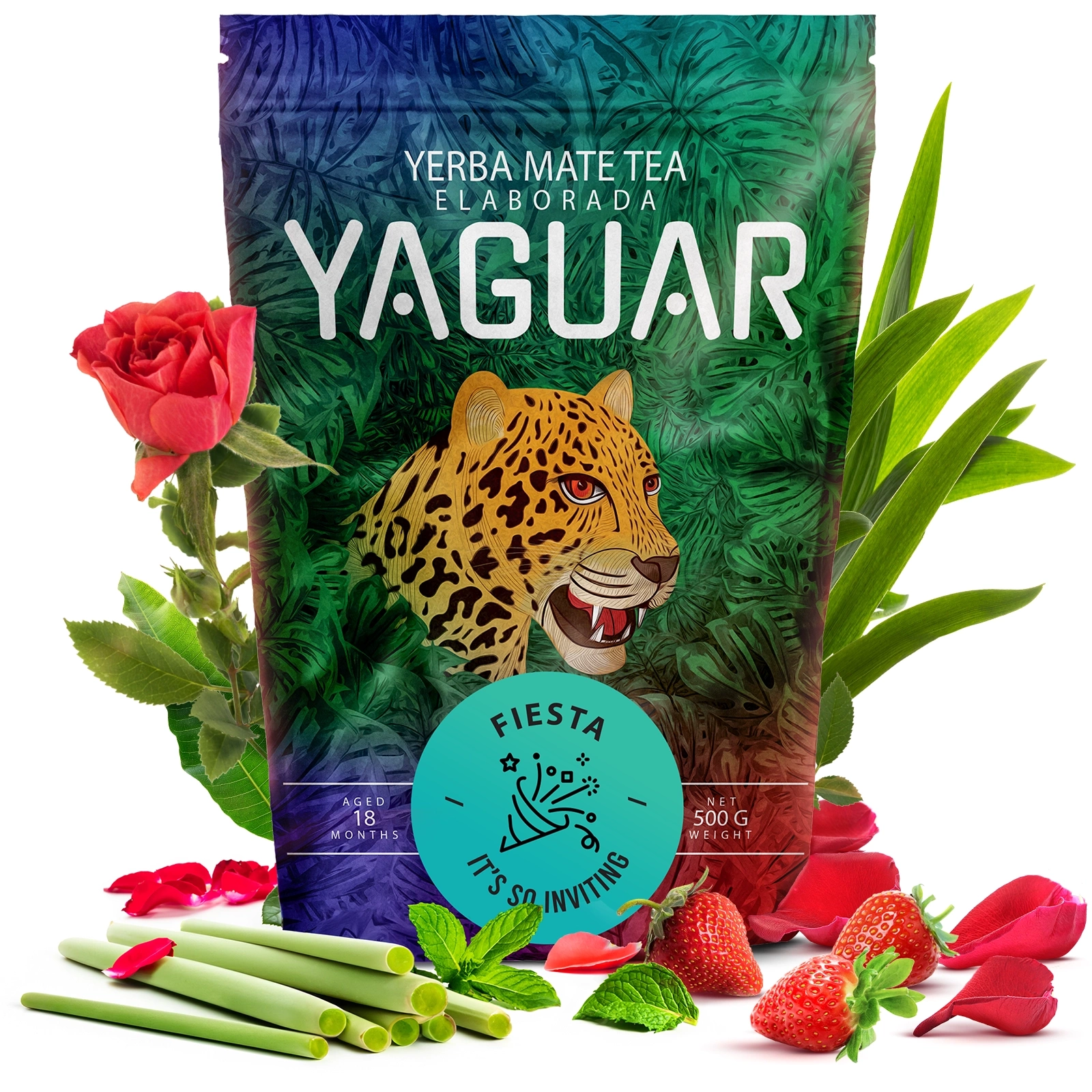 Yaguar Fiesta - Zbliżenie