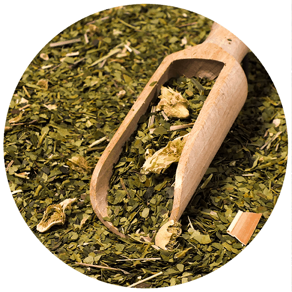 Zestaw Startowy dla dwojga Yerba Mate Verde Mate Cactus de Juarez 500g